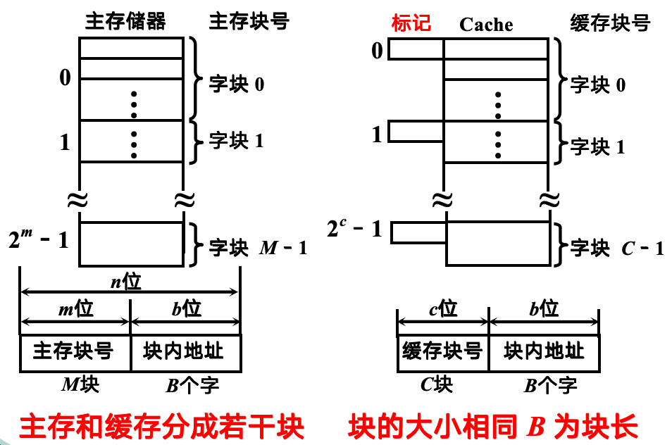 主存缓存编址